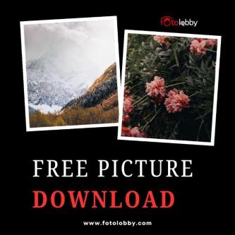 Free Picture Download in Gurgaon - Image 1