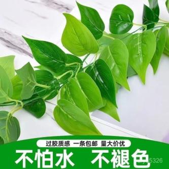 ????Free Shipping????Taiwan Shipment????Simulation Rattan Green in Singapore - Image 1