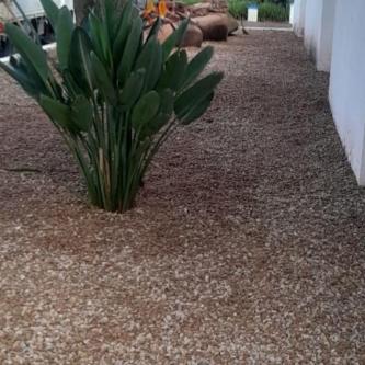 Garden decoration Rocks FREE DELIVERY in Roodepoort - Image 3