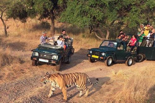 Golden Triangle Tour with Ranthambore in Oriya - Image 2