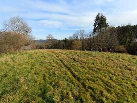 Grand terrain constructible à Vichy - Photo 1