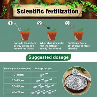 Granular Compound Fertilizer Slow-release Quick Acting NP … in Singapore - Image 1