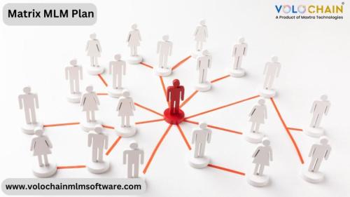 Grow Smarter Using Matrix MLM Software Today in Noida - Image 1