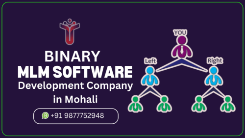 Grow with the Top MLM Software Development Company in Mohali - Image 1