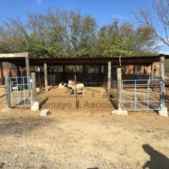 HERMOSO RANCHO EN DR. GONZALEZ en Morelia - Imagen 19
