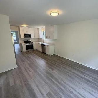 HOUSES AND APARTMENT FOR RENTS in Hamptons - Image 3