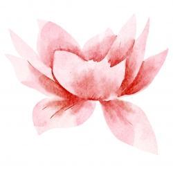 HV Test Engineer - Renewable Energy in Durban - Image 1
