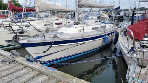 Hallberg-Rassy HR 31 Scandinavia in Eckernförde - Bild 1