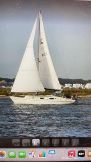 Hallberg Rassy Monsun 31 in Heidelberg - Bild 1