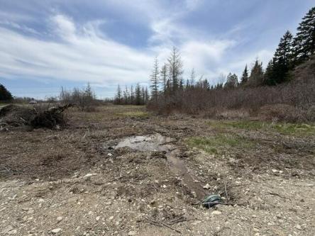 Holmes Bay Farms Rd Lot,whiting, Plot For Sale in Bangor - Image 1
