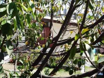 House for Rent in Renaca, Valparaiso, Ref# 22251 en Viña del Mar - Imagen 1