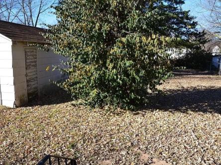 House for Rent in Springfield, Missouri, Ref# 202017067 in Springfield - Image 1