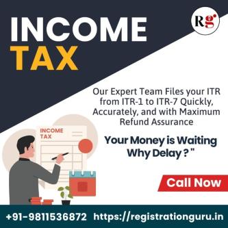 ITR Filing Services In Noida in Rewari - Image 1
