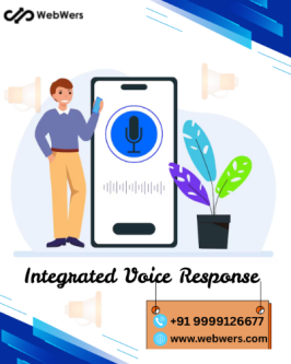 IVR services webwers in Noida - Image 1