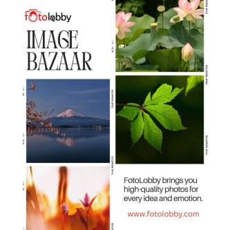Image bazaar - Fotolobby in Gurgaon - Image 1