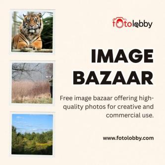 Image bazaar by Fotolobby in Gurgaon - Image 1