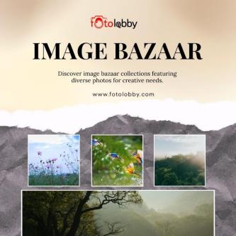 Image bazaar by Fotolobby in Gurgaon - Image 1