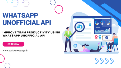 Improve Team Productivity Using WhatsApp Unofficial API in Noida - Image 1