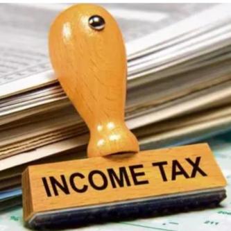 Income tax return in Mohali - Image 1