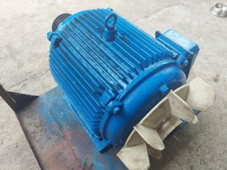 Induction Motor Rewinding in Surigao - Image 4