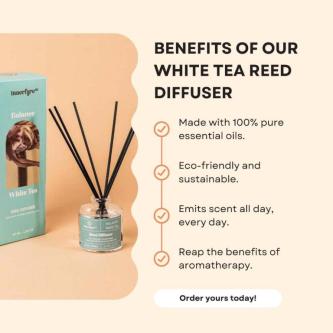 Innerfyre Co | Balance - White Tea Reed Diffuser | Natural … in Singapore - Image 1