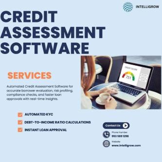 Intelligrow – Smart Credit Assessment Software in Dhārwād - Image 1