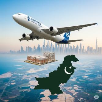 International Relocation Services Pakistan in Ajman - Image 3