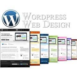 Internet Solutions Web Design in Vista - Image 5