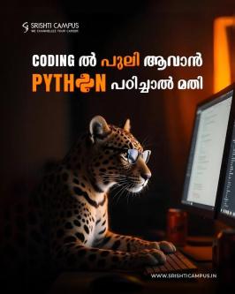 Introduction to Python Programming in Kaudiar - Image 1