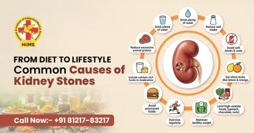 Kidney Stone Problem Know the Real Causes & Solutions in Panchkula - Image 1