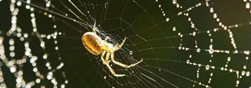 Kind Pest Control in Raleigh - Image 2