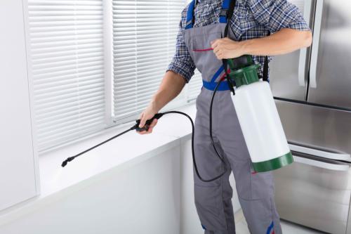 Kind Pest Control in Raleigh - Image 3