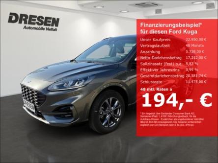 - Kuga in Euskirchen - Bild 1
