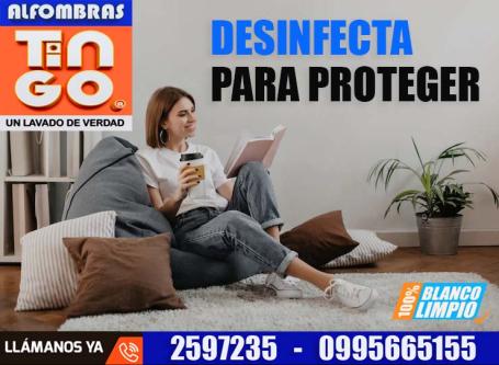 LAVADO DE ALFOMBRAS PERSAS- SERVICIO A DOMICILIO en Quito - Imagen 2