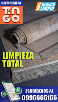 LAVADO DE ALFOMBRAS PERSAS- SERVICIO A DOMICILIO en Quito - Imagen 6