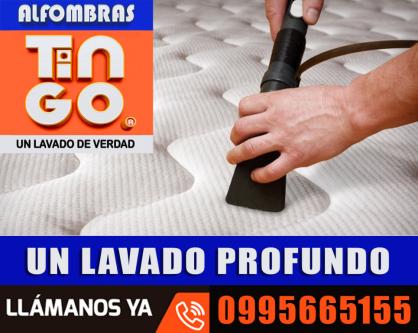 LAVADO DE ALFOMBRAS-San Rafael- Santa Rita- Solanda- Tababela en Quito - Imagen 5