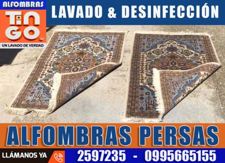 LAVADO PROFESIONAL DE ALFOMBRAS - SERVICIO A DOMICILIO GRATIS en Quito - Imagen 9