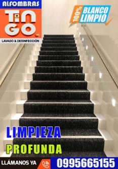 LAVADO PROFESIONAL DE ALFOMBRAS - SERVICIO A DOMICILIO GRATIS en Quito - Imagen 10