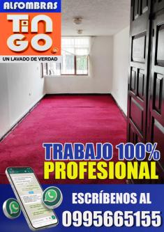 LAVADO PROFESIONAL DE ALFOMBRAS - SERVICIO A DOMICILIO GRATIS en Quito - Imagen 11