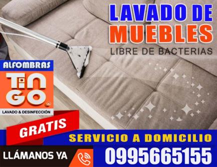 LAVADO PROFESIONAL DE ALFOMBRAS - SERVICIO A DOMICILIO GRATIS en Quito - Imagen 17