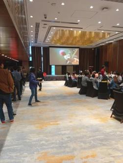 LCD and LASER Projector Highbrihtness for Rental Events in Plain View - Image 9