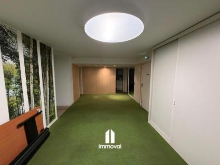 LOCAL PROFESSIONNEL à Strasbourg - Photo 1