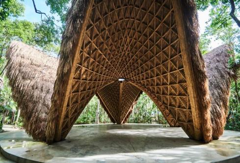 La esencia de Tulum, Departamento en luum Zama con amenidades en Tulum - Imagen 10