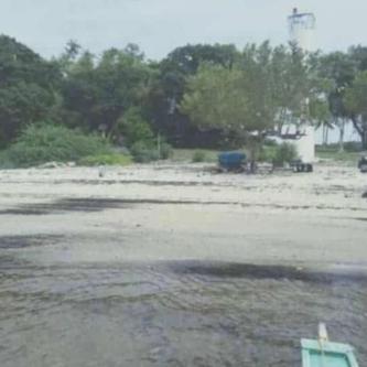 Large scale beach lot in Tagum - Image 1