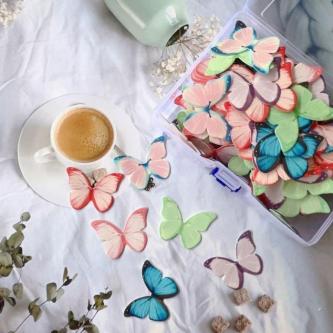 Latest Date Glutinous Rice Paper Butterfly Cold Vegetable … in Shah Alam - Image 1