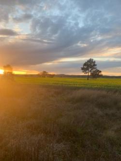 Layed back all round fun in Dubbo - Image 2