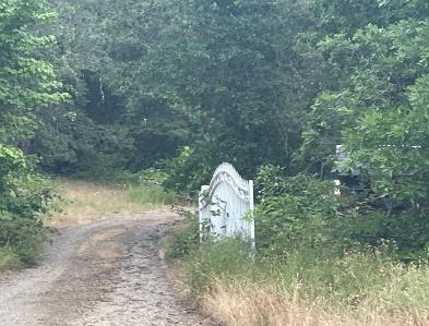 Lower Wolf Creek Rd in Medford - Image 1