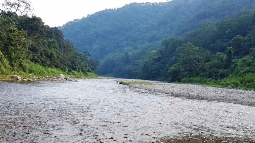 Luxury Camps In Rishikesh in Rishīkesh - Image 4