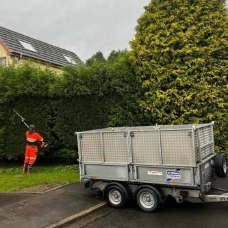 M.R Gardening & Tree Service in Dublin - Image 1