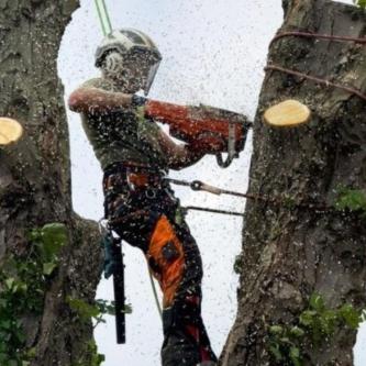 M.R Gardening & Tree Service in Dublin - Image 4